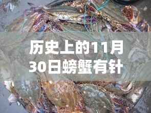 蟹香傳奇揭秘，探尋螃蟹針眼真相，揭開(kāi)美味背后的故事