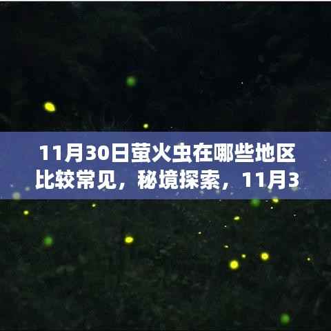 秘境探索，螢火蟲飛舞的詩意之地與小巷中的螢火秘境——11月30日螢火蟲常見地點一覽