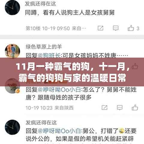 十一月霸氣的狗狗與家的溫馨日常