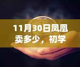 11月30日購買鳳凰攻略，初學(xué)者也能輕松掌握的詳細(xì)步驟指南