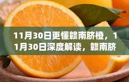 11月30日深度解讀，贛南臍橙的獨(dú)韻之美