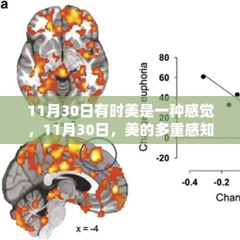 11月30日，美的多重感知之旅
