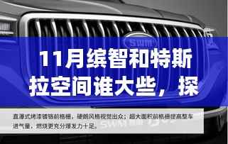 11月繽智與特斯拉空間對比，誰的空間更大，自然美景之旅探索