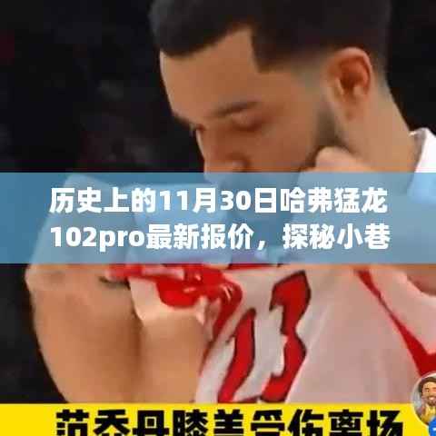 11月30日哈弗猛龍102pro報價揭秘，探秘小巷深處的寶藏