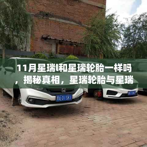 揭秘真相，星瑞輪胎與星瑞L輪胎的異同解析，解析輪胎差異與適用性對(duì)比