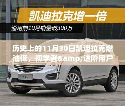 解決凱迪拉克燃油問題的詳細步驟指南，適用于初學者與進階用戶，歷史上的11月30日回顧與指導