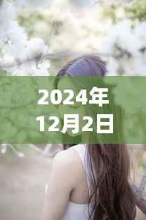 揭秘，里美尤利婭新動向——探秘其神秘面紗背后的真實面貌（2024年12月最新更新）