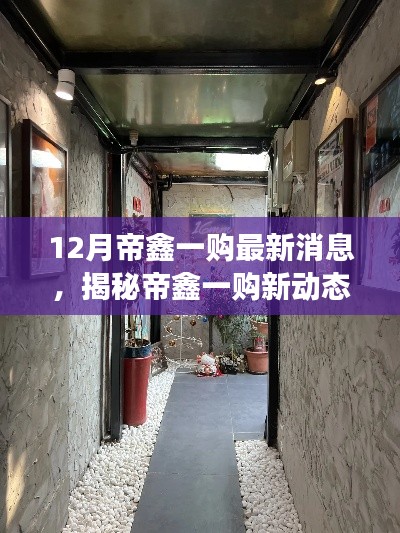 帝鑫一購(gòu)最新動(dòng)態(tài)揭秘，小巷深處的特色小店探秘與12月最新消息