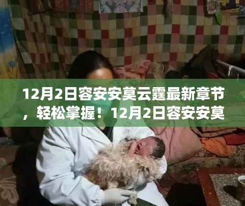 容安安莫云霆最新章節(jié)獲取攻略，輕松掌握，初學(xué)者快速上手