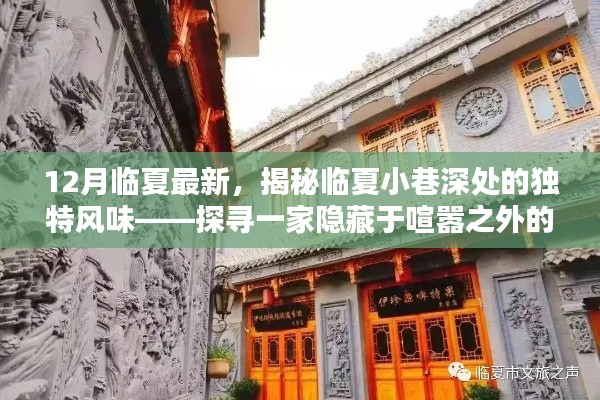 揭秘臨夏小巷深處的獨(dú)特風(fēng)味，一家隱藏于喧囂之外的特色小店探秘