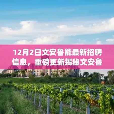 文安魯能最新招聘信息揭秘，開啟職場新篇章，小紅書獨家報道