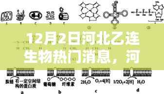 河北乙連生物在特定領(lǐng)域的深遠(yuǎn)影響與地位揭秘，最新消息與重大進(jìn)展，12月2日重磅發(fā)布