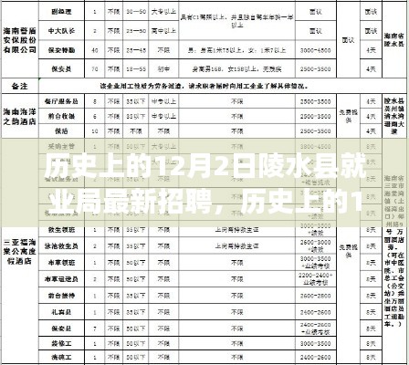 歷史上的12月2日陵水縣就業(yè)局最新招聘全攻略，教你如何成功應(yīng)聘的秘訣