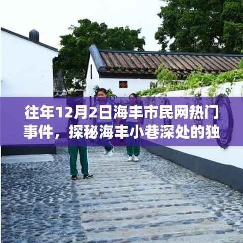揭秘海豐小巷隱藏小店，往年12月2日市民網(wǎng)熱門事件背后的獨特風(fēng)味探索之旅