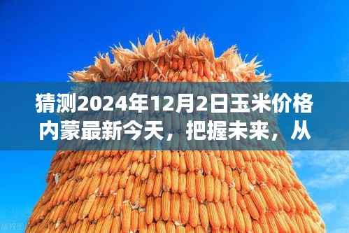 預測玉米價格趨勢，內(nèi)蒙最新動態(tài)與未來展望（把握機遇，成就夢想）