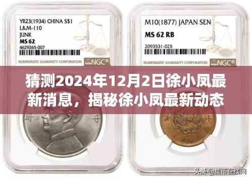 揭秘徐小鳳最新動態(tài)，探尋小巷深處的獨特小店，揭曉徐小鳳最新消息2024年12月2日展望