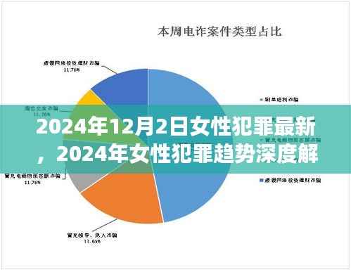 2024年女性犯罪趨勢(shì)深度解析，最新數(shù)據(jù)與預(yù)測(cè)