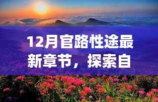 十二月官路性途最新章節(jié)，追尋自然美景與內(nèi)心寧靜的和諧之旅