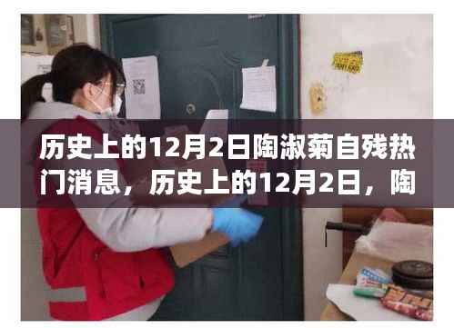 陶淑菊自殘事件，深度解析與歷史上的12月2日熱門消息回顧