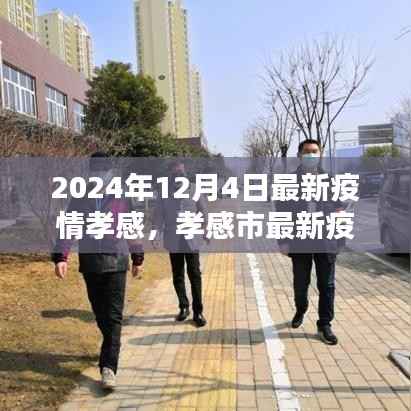 孝感市最新疫情動態(tài)下的挑戰(zhàn)與應對策略分析報告（2024年12月4日）