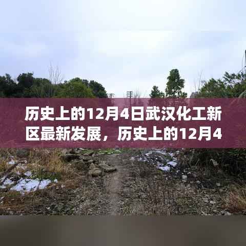 武漢化工新區(qū)多維視角解析，歷史發(fā)展與最新進展回顧（附日期，歷史上的12月4日）