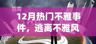 12月熱門不雅事件背后的暖心之旅，逃離紛擾，擁抱自然美景