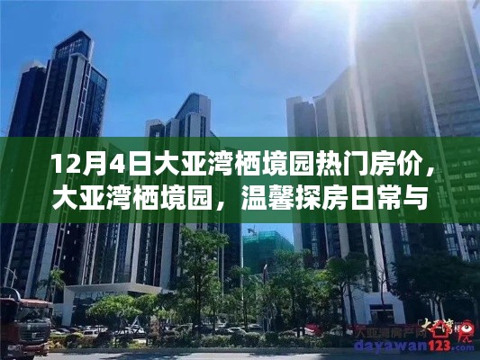 大亞灣棲境園房?jī)r(jià)動(dòng)態(tài)，溫馨家園的探秘之旅