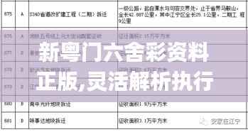 新粵門六舍彩資料正版,靈活解析執(zhí)行_4DM57.557-8