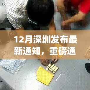 深圳最新政策解讀及十二月新動(dòng)態(tài)發(fā)布，全面解讀深圳最新通知與動(dòng)態(tài)