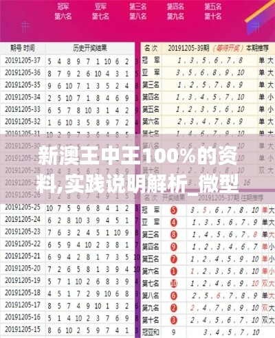 新澳王中王100%的資料,實踐說明解析_微型版47.767