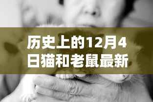 歷史上的12月4日揭秘，貓和老鼠的最新消息回顧與輝煌瞬間（小紅書(shū)分享）