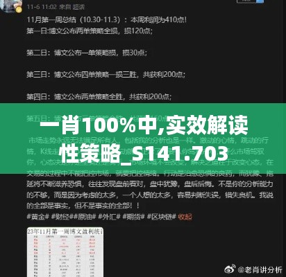一肖100%中,實效解讀性策略_S141.703