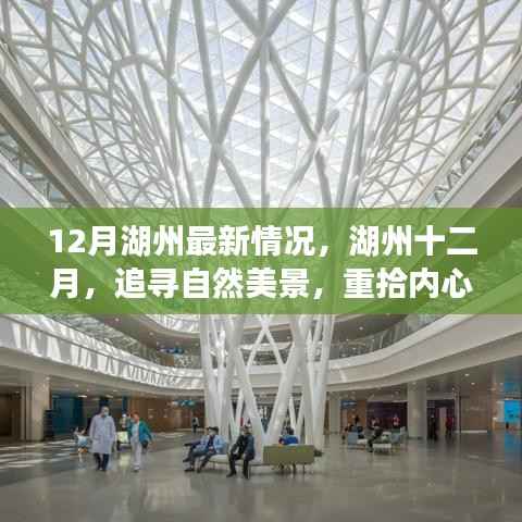 湖州十二月，追尋自然美景，心靈寧靜之旅