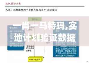 一肖一馬特瑪,實地計劃驗證數(shù)據(jù)_完整版2.245