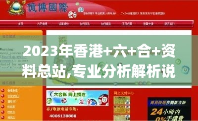 2023年香港+六+合+資料總站,專(zhuān)業(yè)分析解析說(shuō)明_精簡(jiǎn)版12.591