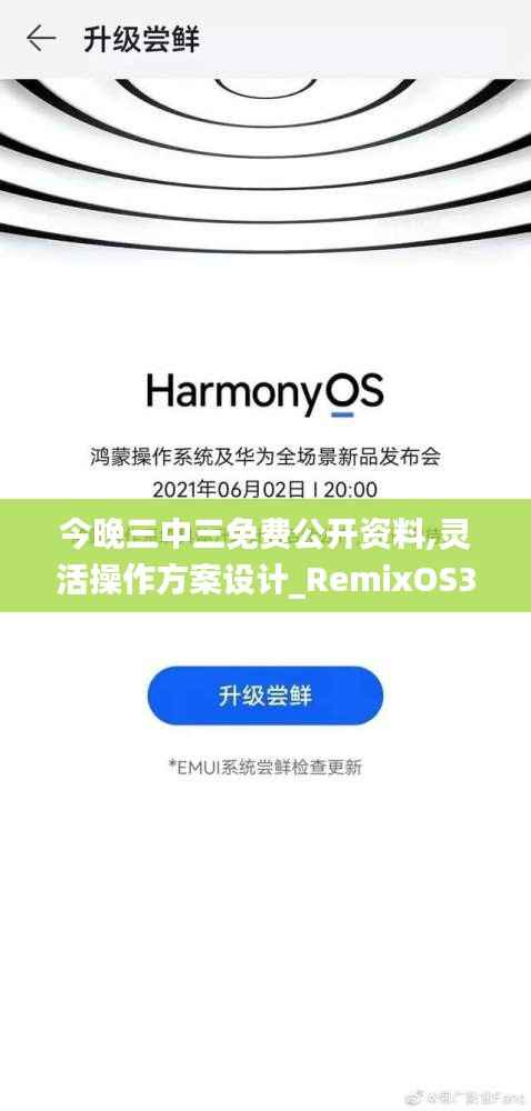 今晚三中三免費公開資料,靈活操作方案設(shè)計_RemixOS30.198
