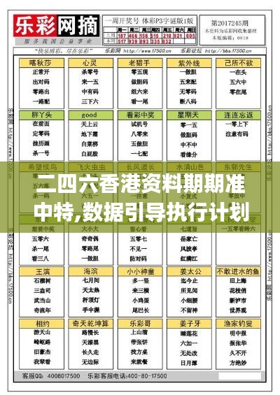 二四六香港資料期期準(zhǔn)中特,數(shù)據(jù)引導(dǎo)執(zhí)行計(jì)劃_Kindle24.682