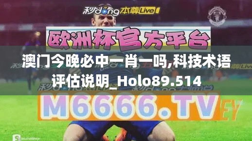 澳門今晚必中一肖一嗎,科技術(shù)語評估說明_Holo89.514