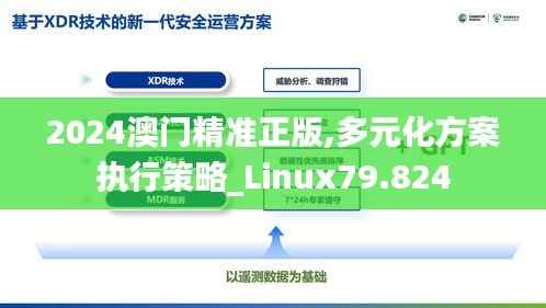 2024澳門精準(zhǔn)正版,多元化方案執(zhí)行策略_Linux79.824