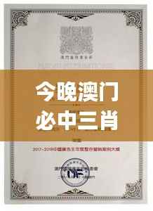 今晚澳門(mén)必中三肖圖片,實(shí)踐案例解析說(shuō)明_專屬款13.471