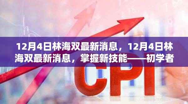 12月4日林海雙最新消息速遞，初學(xué)者與進階用戶的任務(wù)指南揭秘