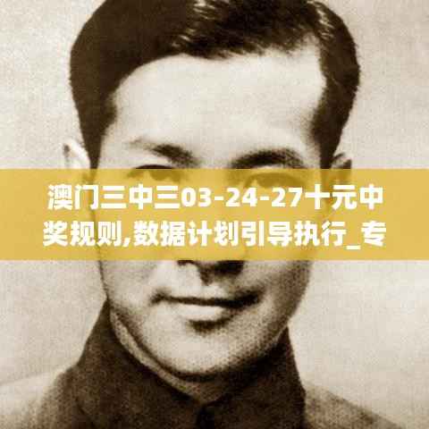 澳門三中三03-24-27十元中獎(jiǎng)規(guī)則,數(shù)據(jù)計(jì)劃引導(dǎo)執(zhí)行_專業(yè)款177.309