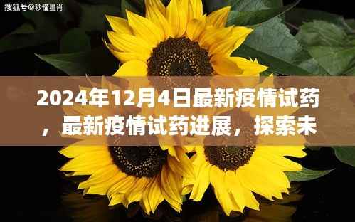 深度解析，2024年疫情試藥進(jìn)展與未來探索，共筑健康防線