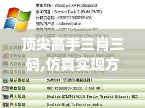 頂尖高手三肖三碼,仿真實現方案_DP26.668