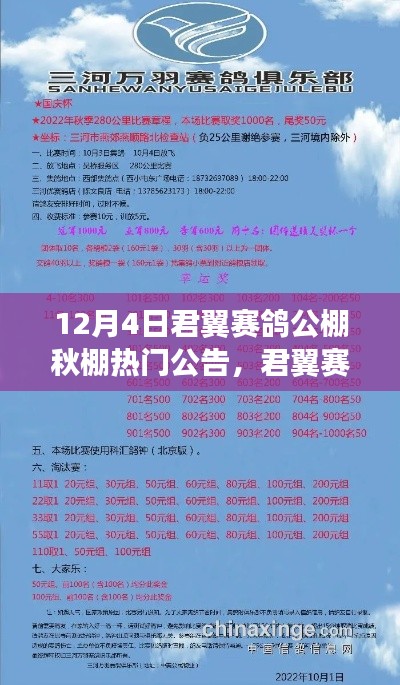 君翼賽鴿公棚秋棚熱門公告盛典回顧與影響分析