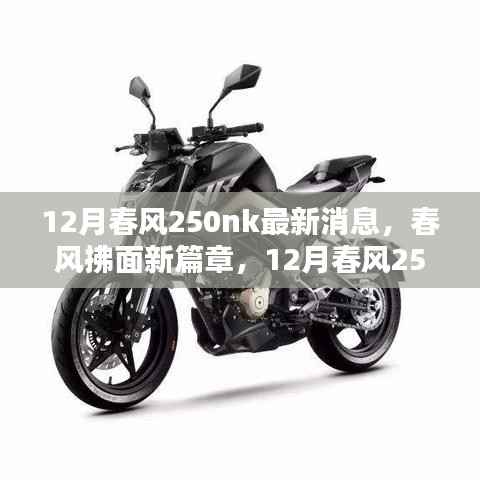 春風拂面新篇章，12月春風250nk全面評測與最新消息介紹