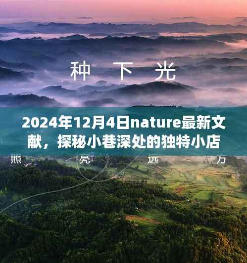 Nature最新文獻(xiàn)揭示，小巷深處的獨(dú)特小店，美食天堂的隱藏寶藏（2024年12月4日）