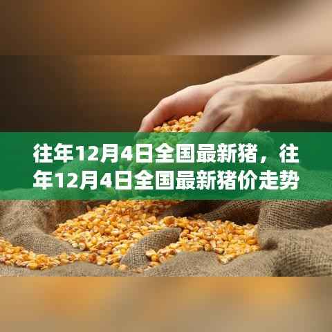 探究市場波動與個人立場，全國最新豬價走勢分析——往年12月4日深度觀察報告