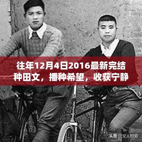 心靈與自然的美妙邂逅，播種希望，收獲寧靜——最新完結種田文賞析