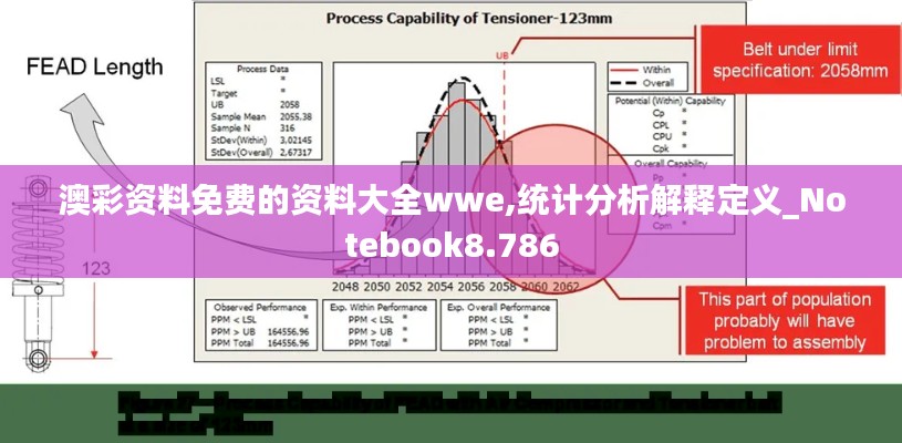 澳彩資料免費的資料大全wwe,統(tǒng)計分析解釋定義_Notebook8.786
